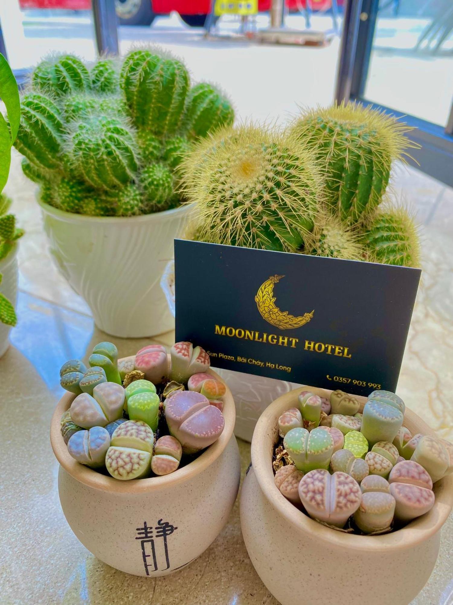Moonlight Hotel 下龍 外观 照片